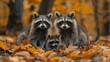 three raccoons are sitting in a pile of leaves in the woods