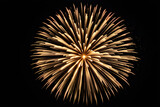 Fototapeta Dmuchawce - Gold Explosion effect. Festive Fireworks. Isolated on black background.