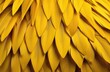 Background of yellow chicken feathers.