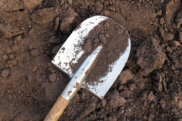 Wall Mural - Brown soil ground texture with shovel on garden bed in farm garden close up. Organic farming, gardening, growing, agriculture