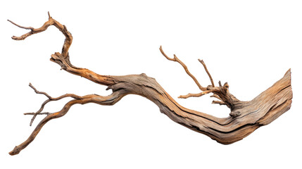a long, thin branch with a few small holes in it isolated on transparent background, png