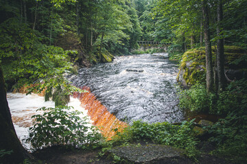 Swift river in wild forest. Natural waterfall. Jungle wide river flowing fast. Speed of water. Dark grunge scary landscape. Abandoned place in nature. Exploring forsaken woods.