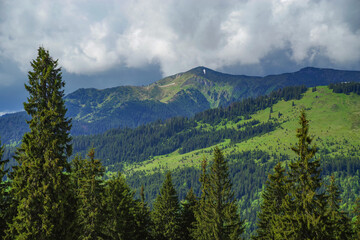 Wall Mural - Summer landscape of Rodnei Mountains National Park, Romania, Romanian Carpathian Mountains, Europe.	