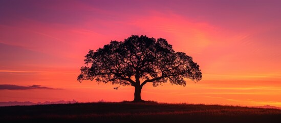 Wall Mural - Majestic tree standing tall on a serene hill, overlooking breathtaking landscape