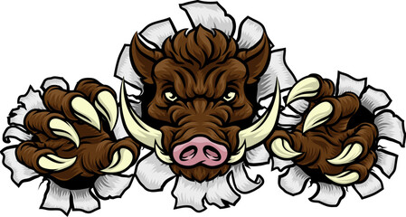 Sticker - A wild boar, hog razorback warthog pig mean tough cartoon sports mascot