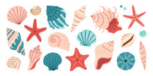Sea Shells Set, Mollusks, Starfish. Trendy Flat Illustration Of Seashells Collection Isolated On White For Stickers.