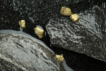 Wall Mural - Shiny gold nuggets on wet stones, top view