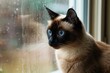 A Siamese cat perched elegantly by a window, with its striking blue eyes gazing outward thoughtfully