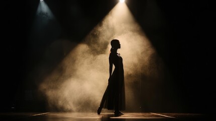 Wall Mural - Ballet dancer silhouette dark stage single spotlight
