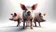 three realistic piglets standing side by side with a plain, light background that casts soft shadows beneath them