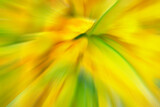 Fototapeta Nowy Jork - Blurred photo of green and yellow flowers, abstract colorful background or wallpaper.
