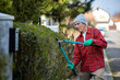 © Mediteraneo - Gardener pruning tree with pruning shears