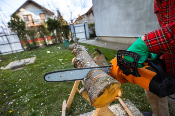 Wall Mural - Man cutting wood with saw, dust and movements. Chainsaw.