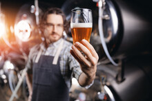 Expert Brewer In Apron Holds Glass Of Craft Beer And Checking Quality And Color. Worker Man Sommeliers Taste Drink On Brewery Factory