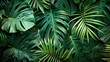 © Ilmi - tropical Hawaii palm leaves design decoration. green leaf background