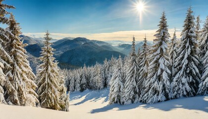 Wall Mural - awesome view of snow capped forest on frosty day