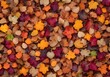 Colorful seasonal autumn background pattern, Vibrant carpet of fallen forest leaves