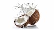  half a coconut sitting on its bottom upright, on an all-white background