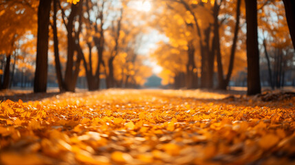 Autumn leaves in park background. Yellow maple leaf over blurred texture with copy space. Concept of fall season. Golden autumn card