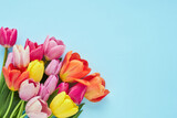 Fototapeta Tulipany - Bouquet of colorful tulips on light blue background. Greeting card. Copy space