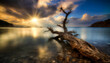 Sonnenaufgang am Meer mit einem alten Baumstamm im Wasser