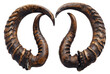 Dark animal horns, cut out - stock png.
