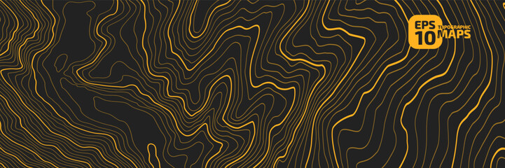 Wall Mural - the stylized height of the topographic map contour in lines and contours. the concept of a condition