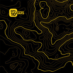 Wall Mural - the stylized height of the topographic map contour in lines and contours. the concept of a condition