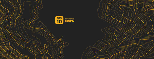Wall Mural - the stylized height of the topographic map contour in lines and contours. the concept of a condition