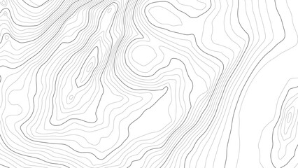 Wall Mural - The stylized height of the topographic contour in lines and contours. Сoncept of a conditional geography scheme and the terrain path. Black stroke on white background. Wide size. Vector illustration.