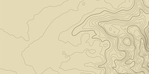 Wall Mural - topographic pattern texture. brown contours on beige background. vector topography. geographic mount