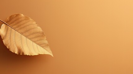 Sticker - earthy minimal brown background