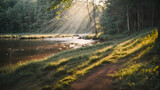 Fototapeta Na ścianę - forest and river with god rays , jungle and river with god rays