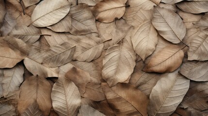 Canvas Print - organic texture leaves background