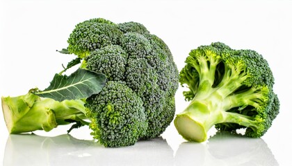 Wall Mural - fresh broccoli isolated on a white background