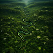 Amazon jungles from birds eye perspective with giant snake winding its way through the dense foliage