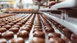 Conveyor Belt Filled With Chocolates