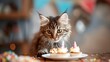 Eine süße Katze vor einem Geburtstagskuchen 