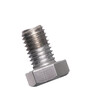 Screw isolated on transparent layered background.
