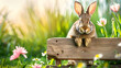 Photograph of bunny sitting on a wooden banner with a spring meadow as background