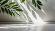 minimalistic light background with blurred foliage shadow on a white wall beautiful background for presentation with with smooth floor