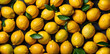 Ripe, juicy, bright yellow lemons close-up. Top view of whole lemon fruits. Background of lemons. Pattern made of sour fresh yellow lemon.