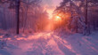 winter panorama landscape with forest, trees covered snow and sunrise. winterly morning of a new day. purple winter landscape with sunset, panoramic view.