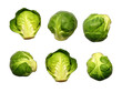 Set of brussels sprout isolated on transparent background, transparency image, removed background
