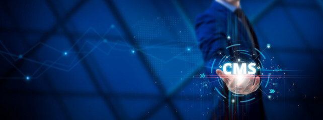 Wall Mural - cms: content management system, digital solutions, website development, data integration. businessma