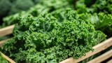 Fototapeta Kuchnia - fresh green kale