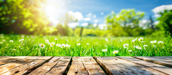 empty wooden on park spring summer concept background