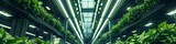 Lush greenery in a vertical farm with hydroponic tubes and LED lighting showcasing sustainability