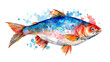 Watercolor fish. Fresh organic seafood. Nature drawing - Vector illustration. isolated on transparent background