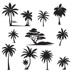 Wall Mural - set of palm trees, Isolated palm on the white background. Palm silhouettes.	